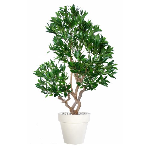 Planta semi-artificiala Ila, Laurel Stylish Green - 150 cm